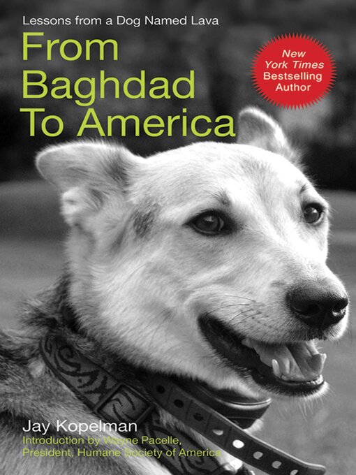 Title details for From Baghdad to America by Jay Kopelman - Available